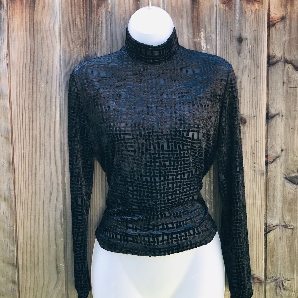 Velvet sheer mock neck long sleeve top